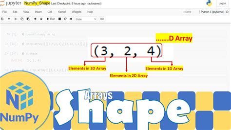 shapearray|shape array python.